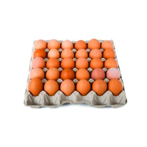 Golden Egg - Јајца С 30/1