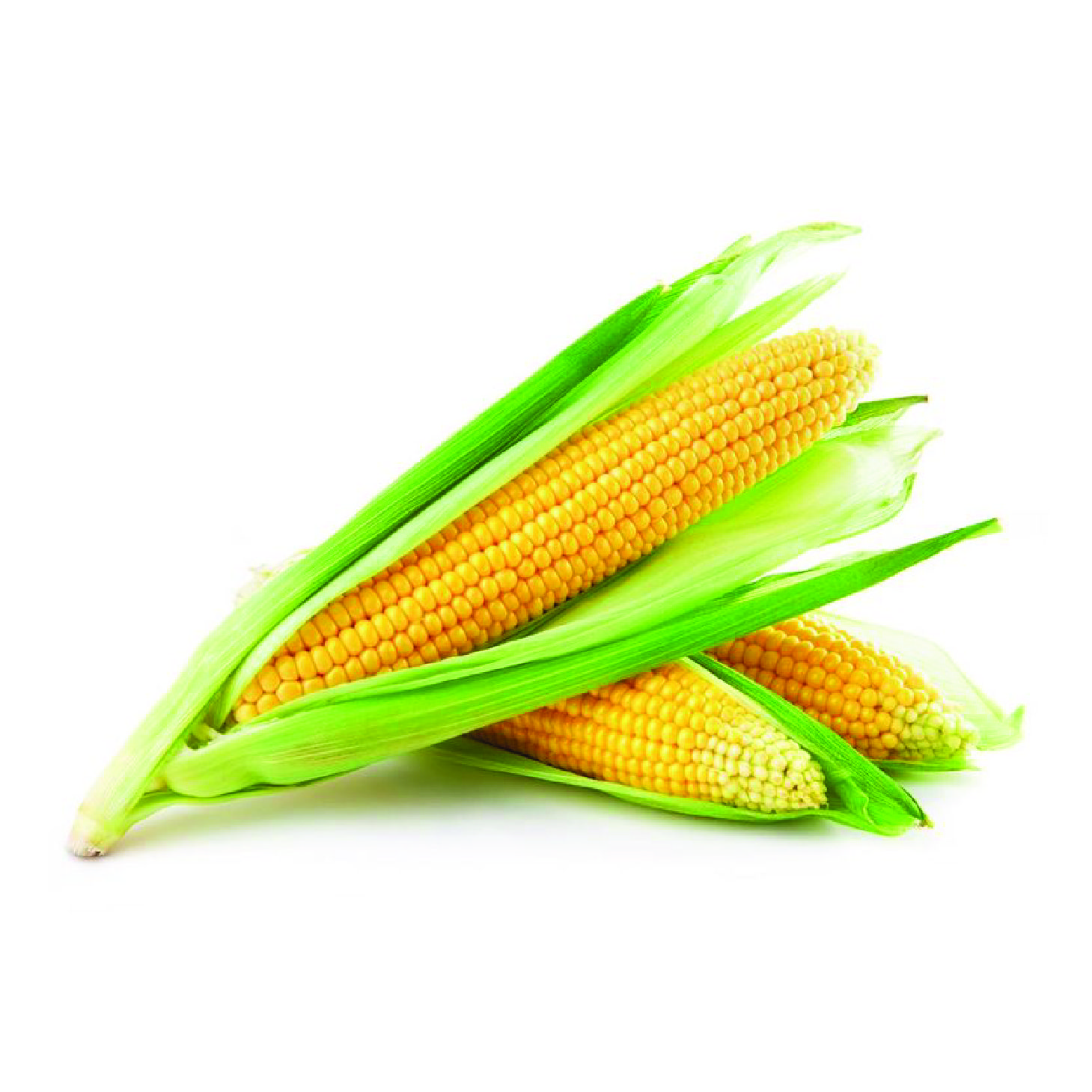 491-01